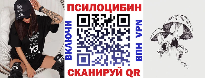 Галлюциногенные грибы GOLDEN TEACHER  Цоци-Юрт 
