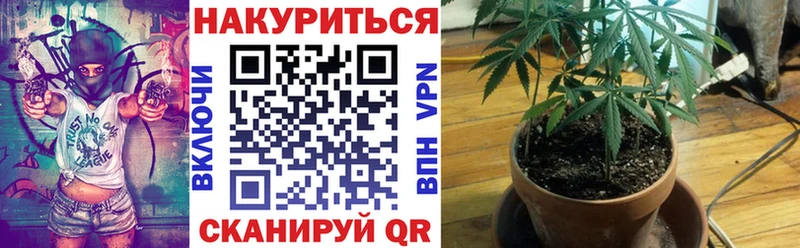 Бошки Шишки LSD WEED  продажа наркотиков  Цоци-Юрт 